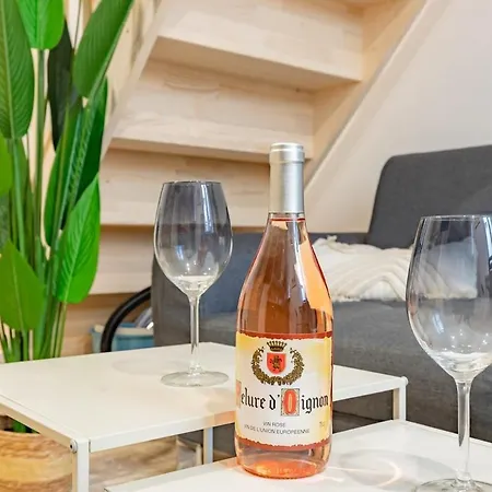 Apartament Le Vegetal Cite Wifi Machine A Laver 2 Personnes Carcassona